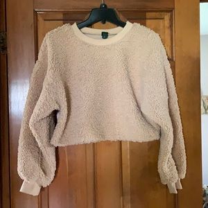 Brand new fuzzy crop